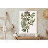 Poster Astragalus Mit Lila Blüten