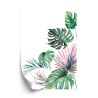 Poster Botanisches Muster Aus Aquarell-Monstera Und Palmblättern