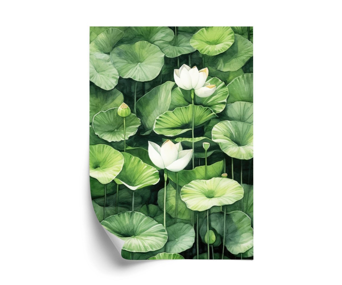 Poster Weiße Blüten Zwischen Grünen Lotusblättern