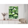 Poster Weiße Blüten Zwischen Grünen Lotusblättern