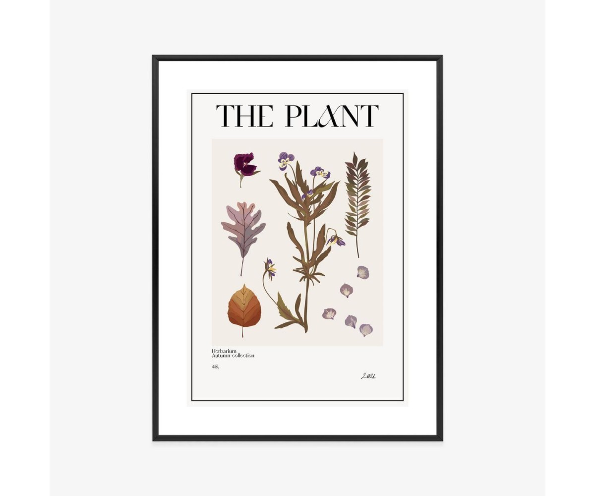 Poster Herbstpflanzen Im Herbarium