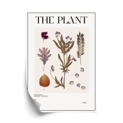 Poster Herbstpflanzen Im Herbarium
