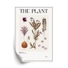 Poster Herbstpflanzen Im Herbarium