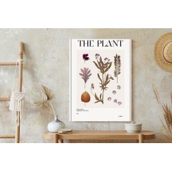 Poster Herbstpflanzen Im Herbarium