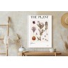 Poster Herbstpflanzen Im Herbarium