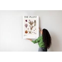 Poster Herbstpflanzen Im Herbarium