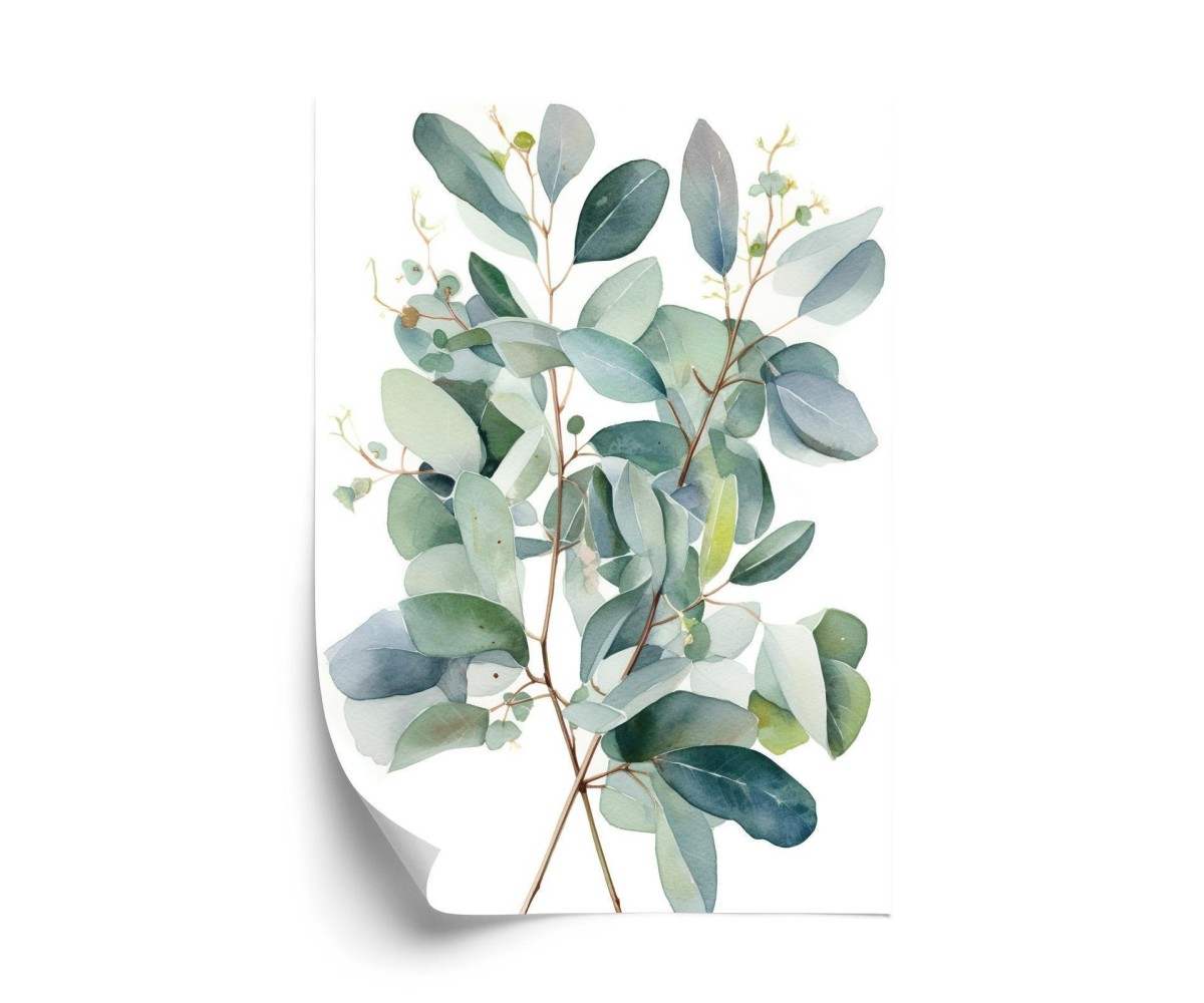Poster Eukalyptuszweigstrauß Mit Aquarell Bemalt