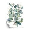 Poster Eukalyptuszweigstrauß Mit Aquarell Bemalt