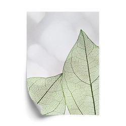 Poster Grüne Transparente Blätter Auf Hellem Hintergrund