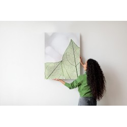 Poster Grüne Transparente Blätter Auf Hellem Hintergrund