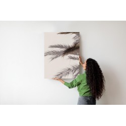 Poster Palmblätter Mit Schattenreflexion An Der Wand