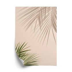 Poster Sommer Natürliche Grüne Palmblätter Und Schatten