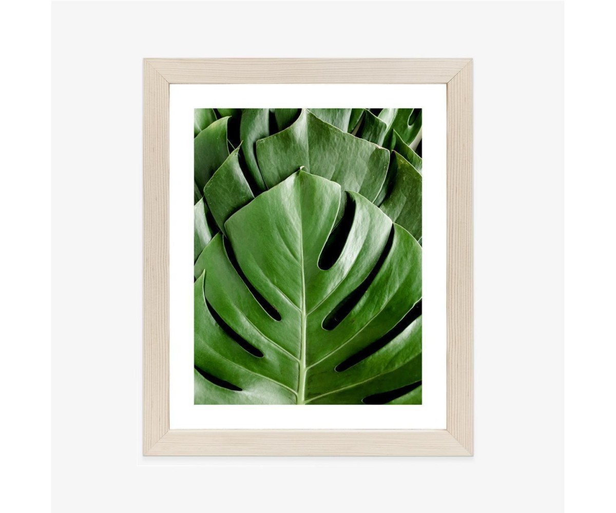 Poster Monstera-Palmenblätter