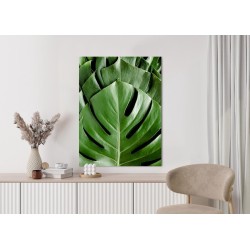 Poster Monstera-Palmenblätter