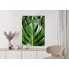 Poster Monstera-Palmenblätter