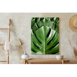 Poster Monstera-Palmenblätter