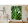 Poster Monstera-Palmenblätter