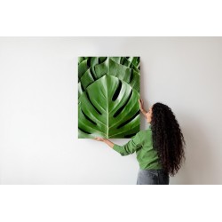 Poster Monstera-Palmenblätter