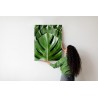 Poster Monstera-Palmenblätter