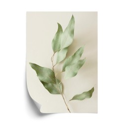 Poster Trockene Eukalyptusblätter