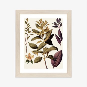 Poster Vintage Heilpflanze