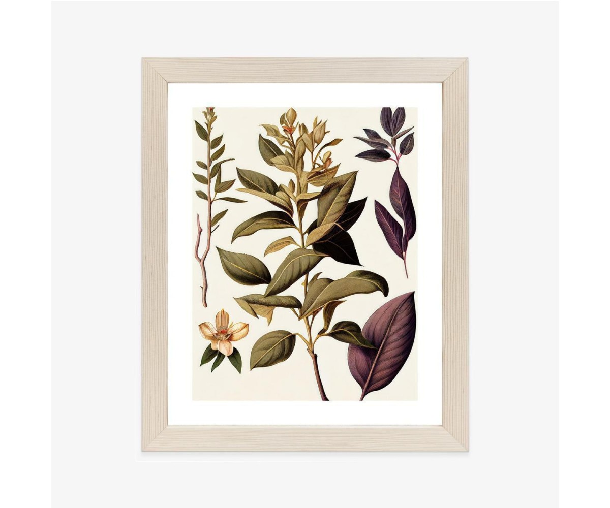 Poster Vintage Heilpflanze