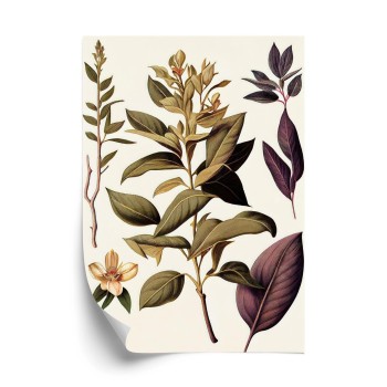 Poster Vintage Heilpflanze