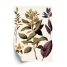 Poster Vintage Heilpflanze
