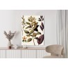 Poster Vintage Heilpflanze