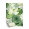 Poster Weiße Lotusblume Und Grüne Blätter Aquarell