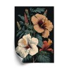 Poster Hibiskusblüten Und Grüne Blätter