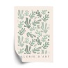 Poster Retro-Botanisches Muster  Inspiriert Von Matisse