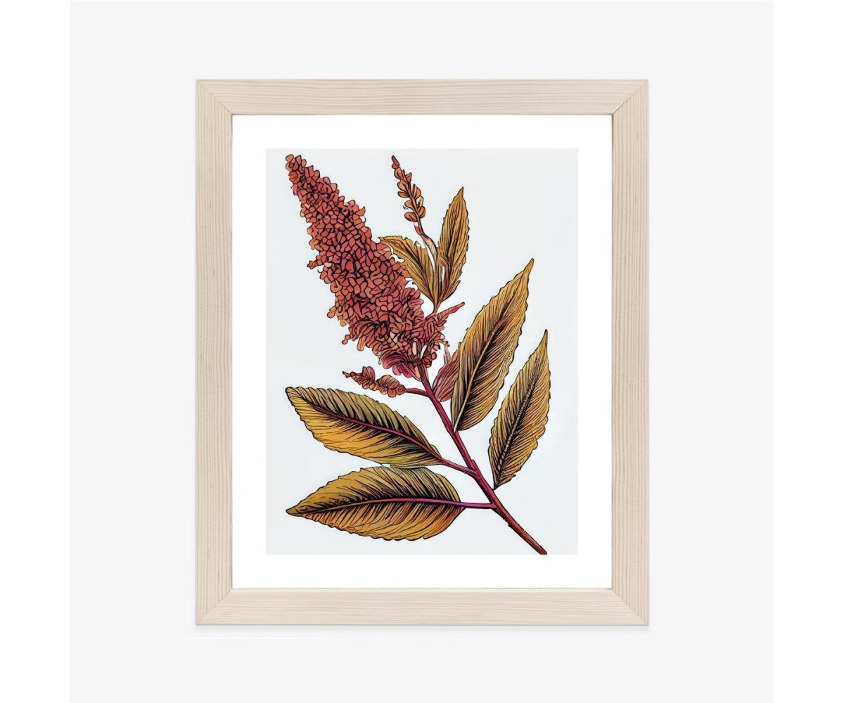 Poster Quinoa In Herbstfarben