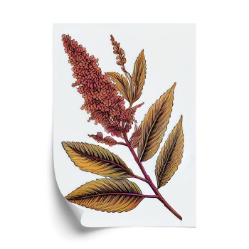 Poster Quinoa In Herbstfarben
