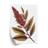 Poster Quinoa In Herbstfarben