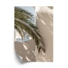 Poster Palmblätter Mit Schatten Auf Einer Beigen Wand