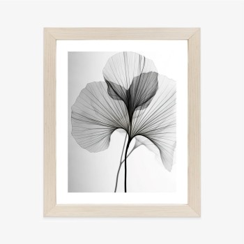 Poster Schwarze Ginkgoblätter