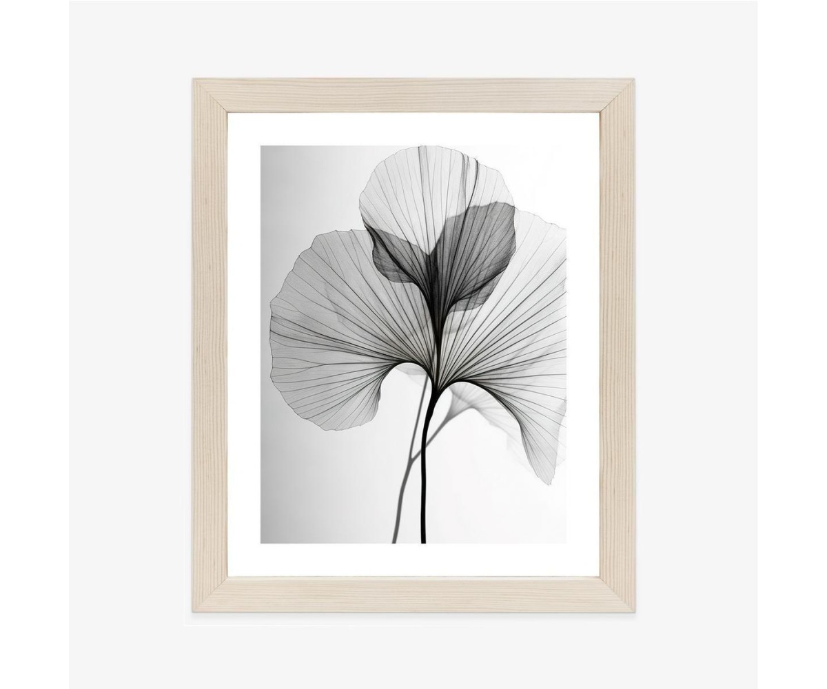 Poster Schwarze Ginkgoblätter