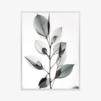 Poster Ein Zweig Mit Grauen Blättern Auf Hellblauem Hintergrund