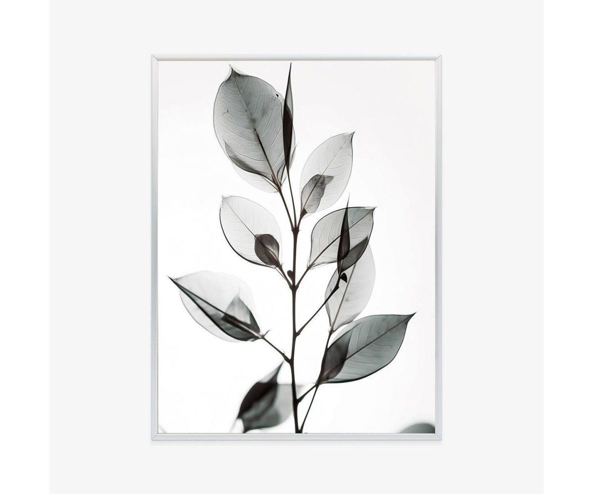Poster Ein Zweig Mit Grauen Blättern Auf Hellblauem Hintergrund