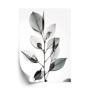 Poster Ein Zweig Mit Grauen Blättern Auf Hellblauem Hintergrund