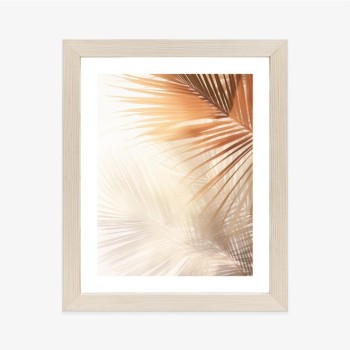 Poster Tropische Palmblätter Mit Schatten