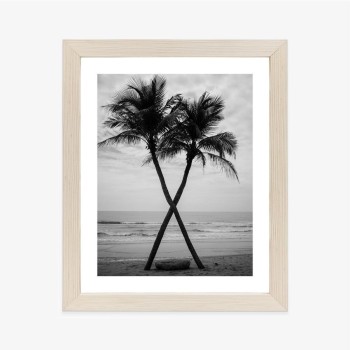 Poster Zwei Kokospalmen Und Das Meer