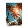 Poster Die Sonne Scheint Durch Hohe Palmen