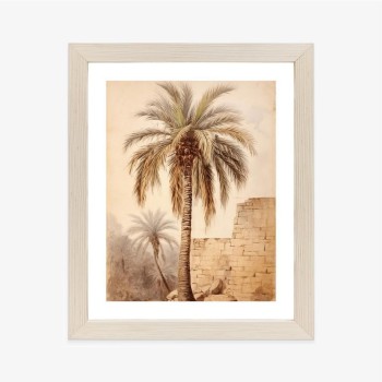 Poster Illustration Einer Palme In Der Nähe Einer Alten Mauer