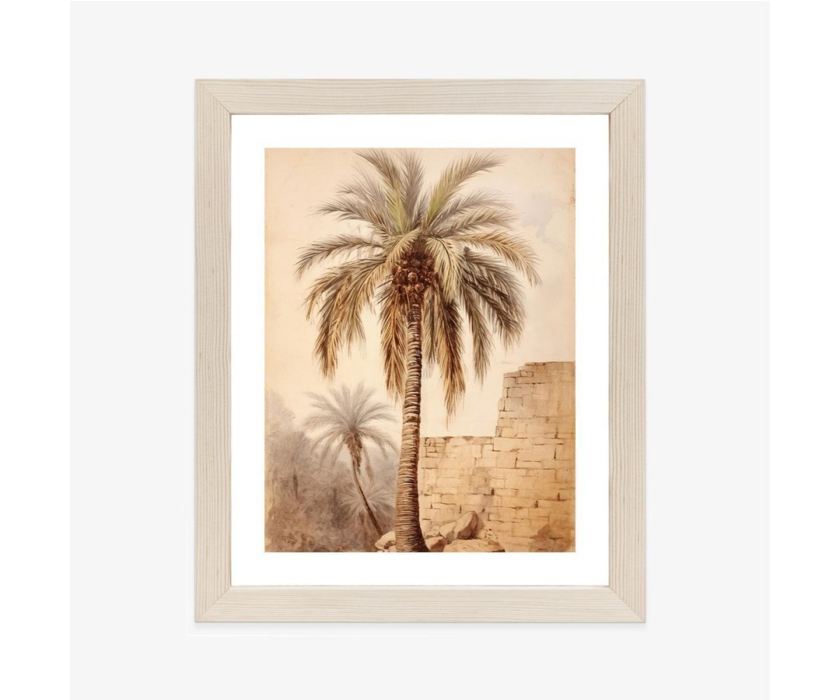 Poster Illustration Einer Palme In Der Nähe Einer Alten Mauer