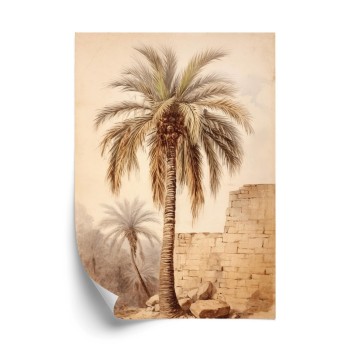 Poster Illustration Einer Palme In Der Nähe Einer Alten Mauer