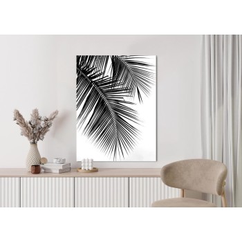 Poster Wunderschöne Schwarze Palmblätter