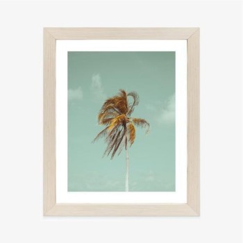 Poster Einsame Palme