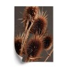 Poster Trockene Klette